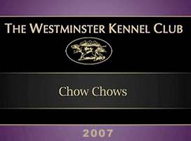 2007美国西敏寺松狮比赛视频AKC CHOW CHOW DOG SHOW